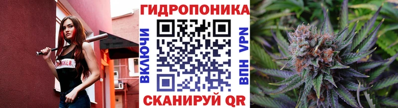 дарнет шоп  Покров  Каннабис OG Kush 